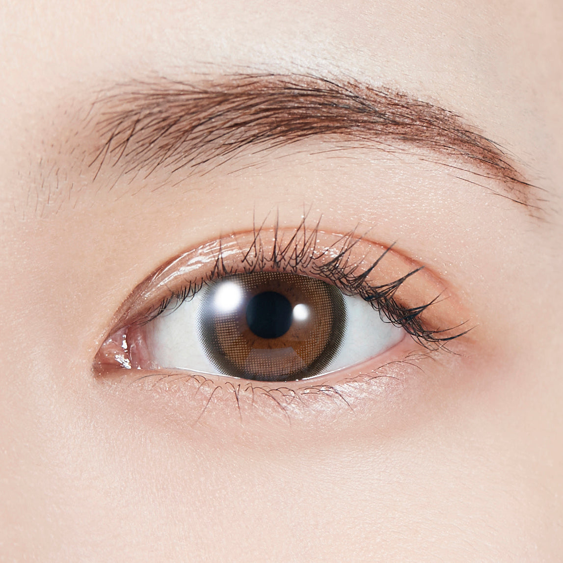 CastanhoBunny |. 1 mês