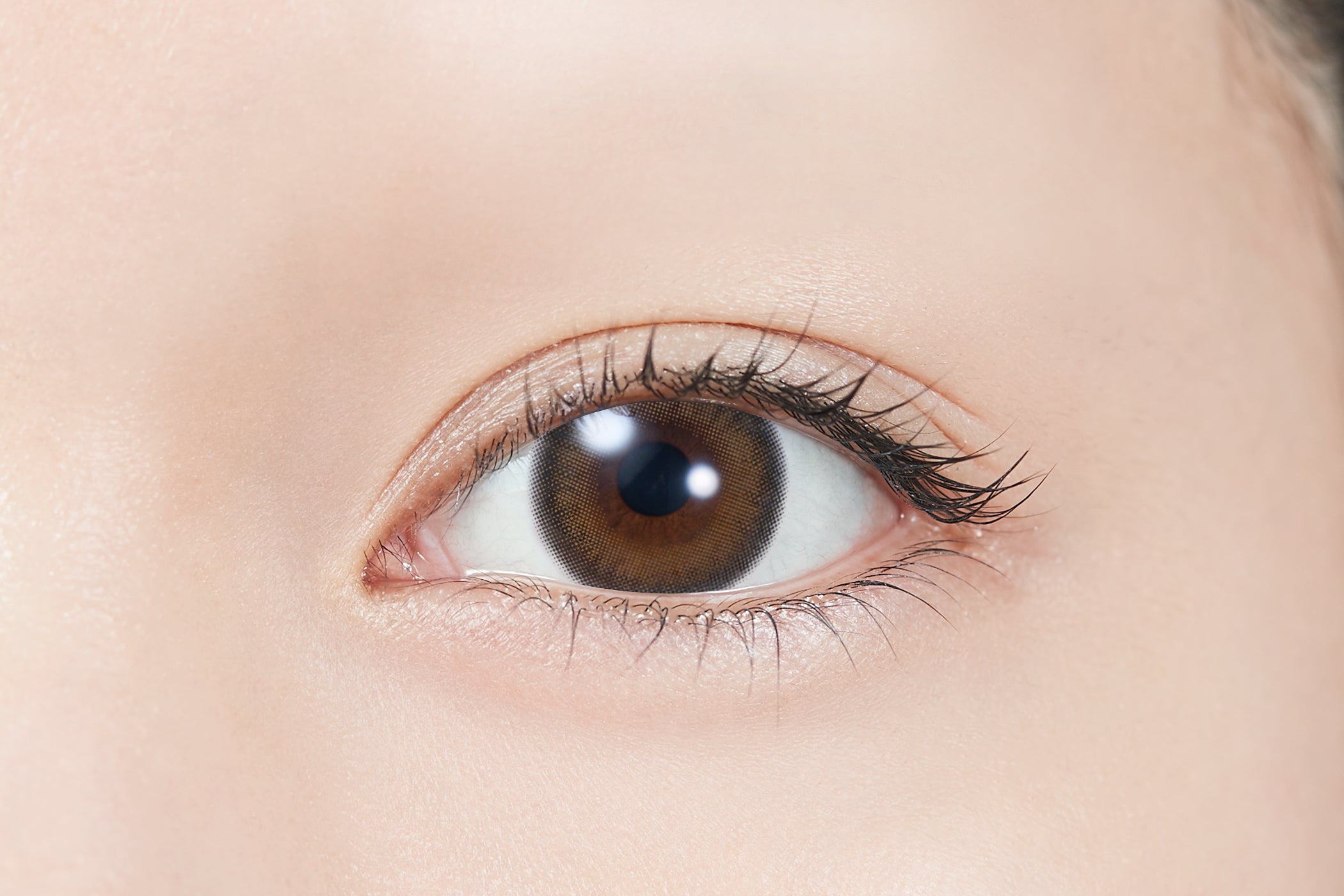 كوكو توباز |. 1 يوم