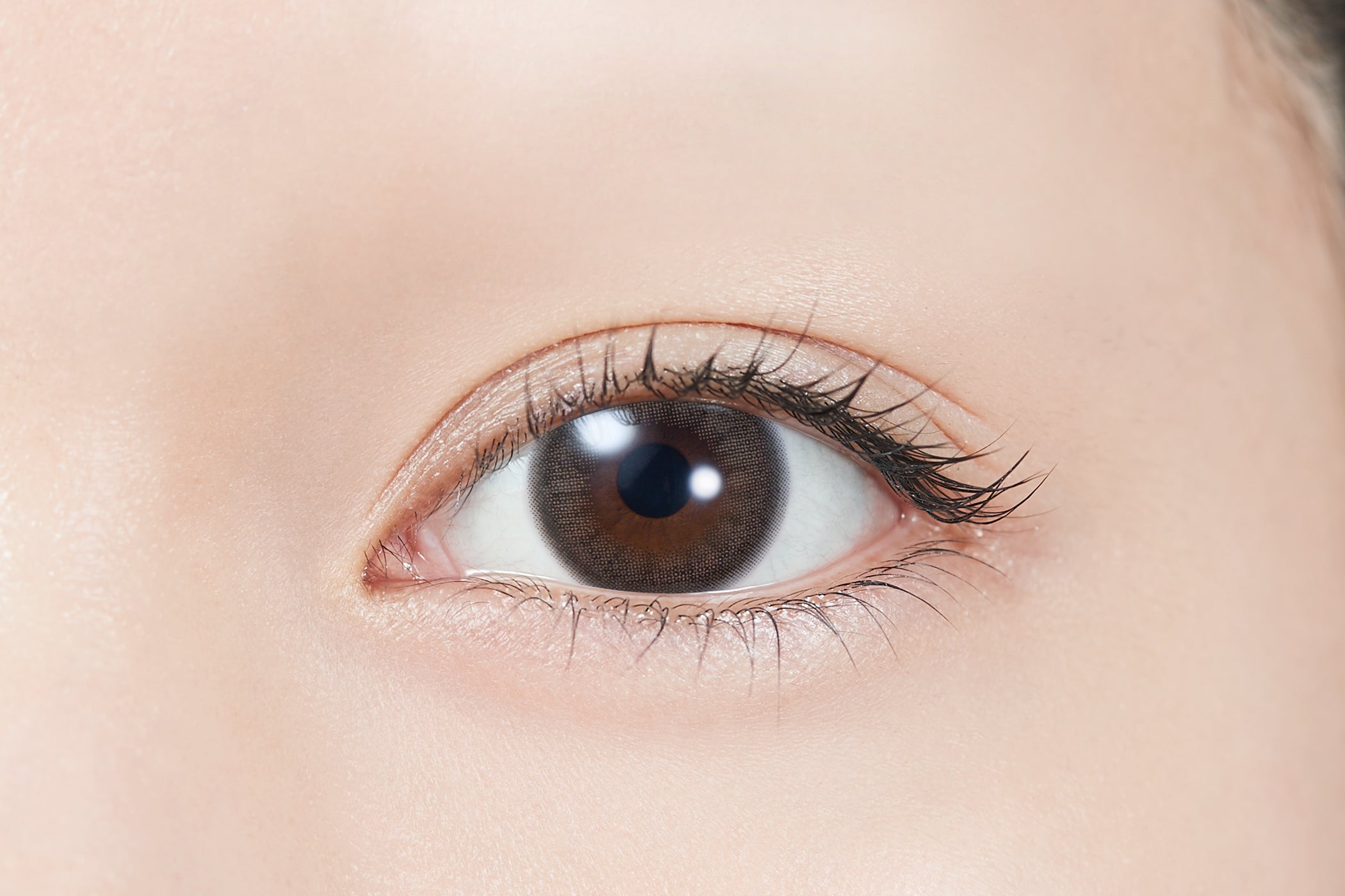 การจัดทำดัชนี | 1วัน