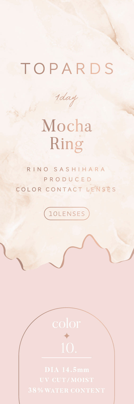 การจัดทำดัชนี | 1วัน