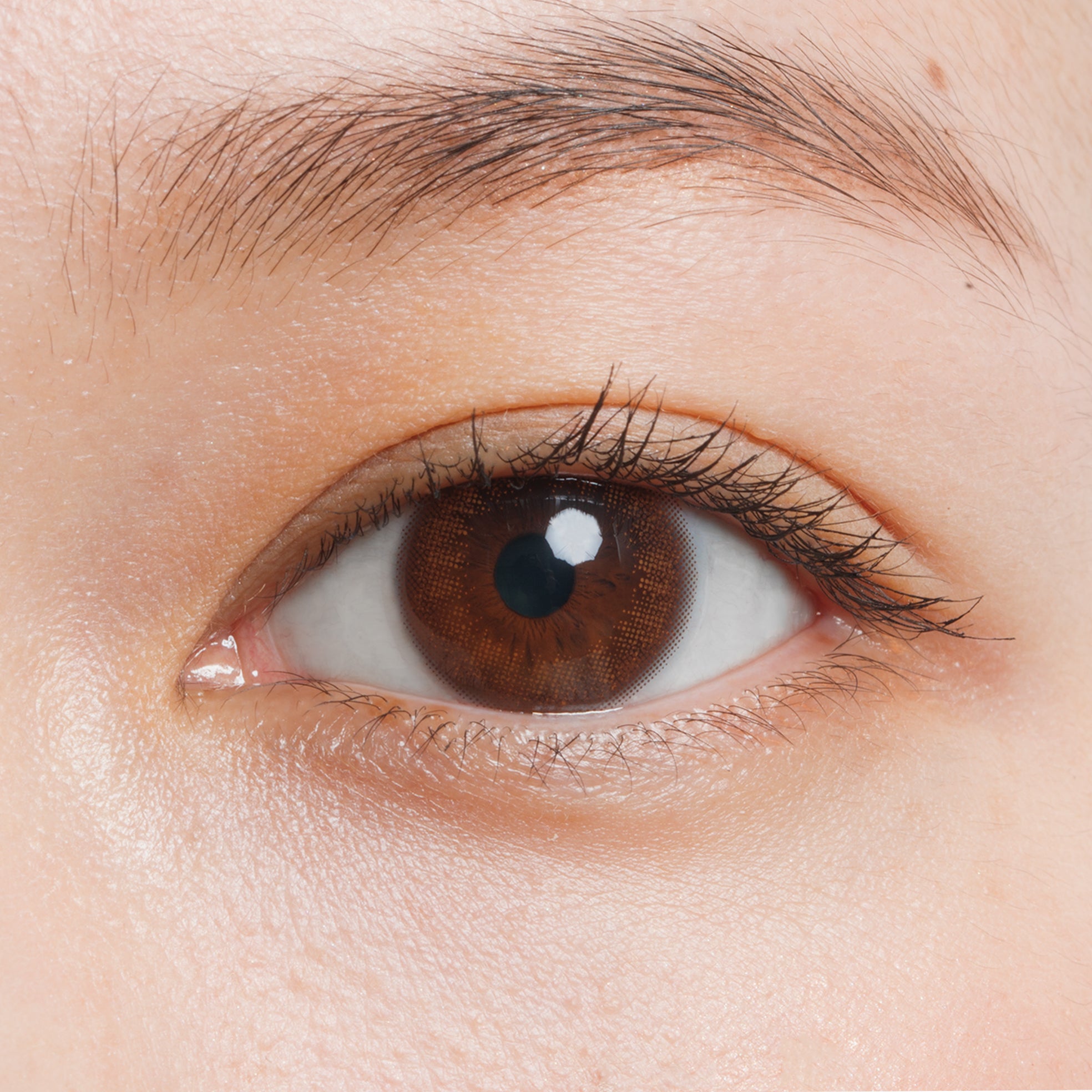 (polvere) soffioMarrone | 2 settimane