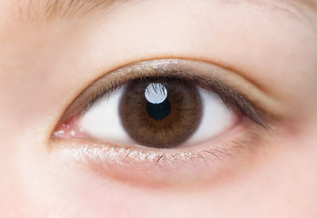 Áo khoác nâu | 1day