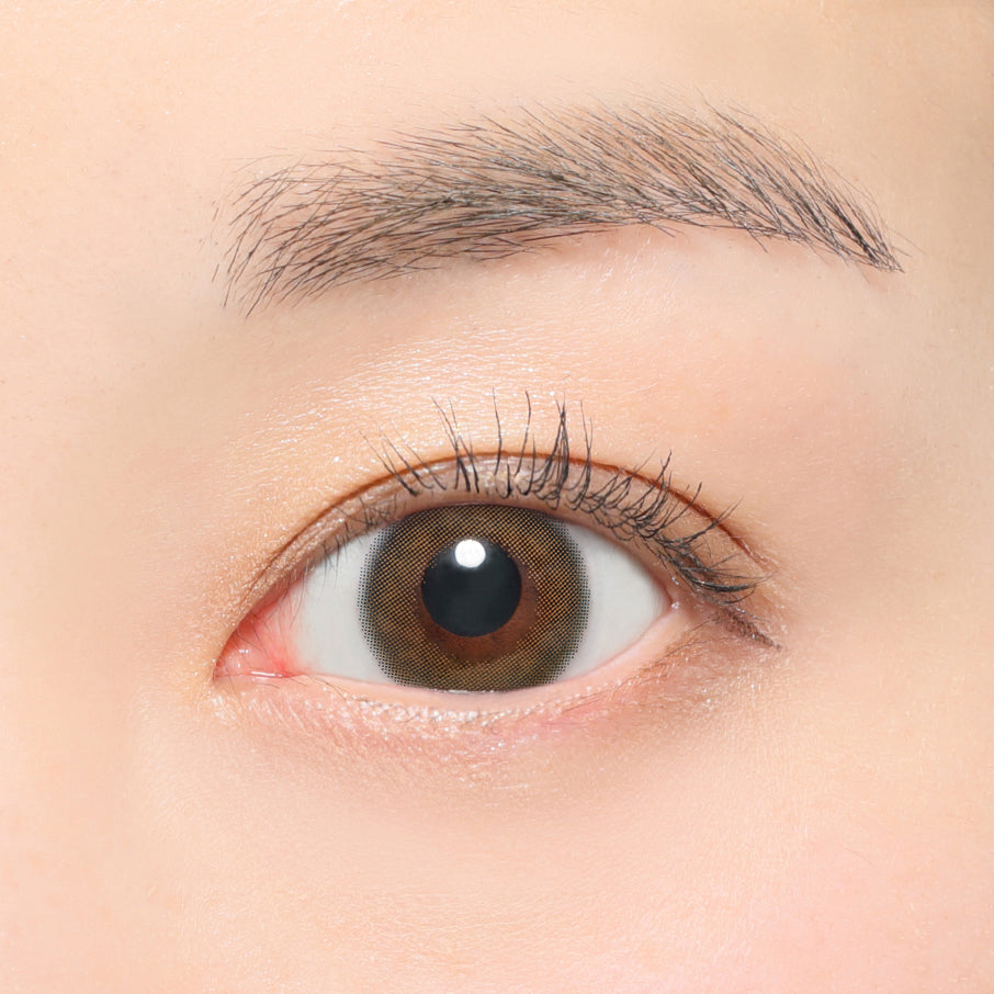 헤일리 1개월용