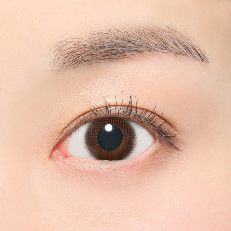 무스브라운 | 1개월용