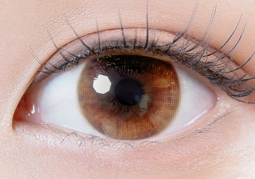 릴랙스브라운 | 2주용