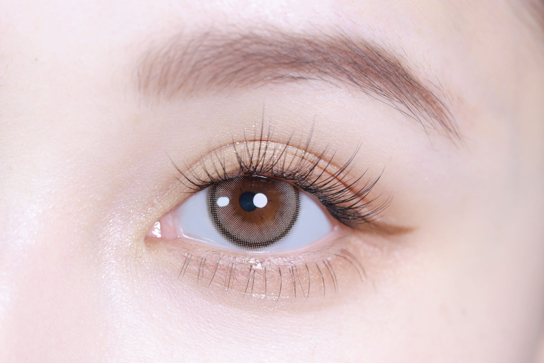 Sandarkelabu | 1hari