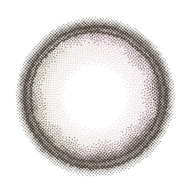 스완회색 | 1일용