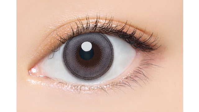 cisneCinzento | 1 dia