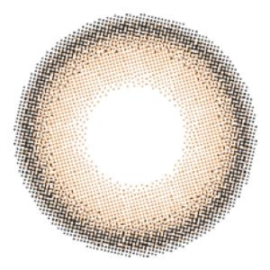 소피아 베이지 | 소피아 베이지 1일용