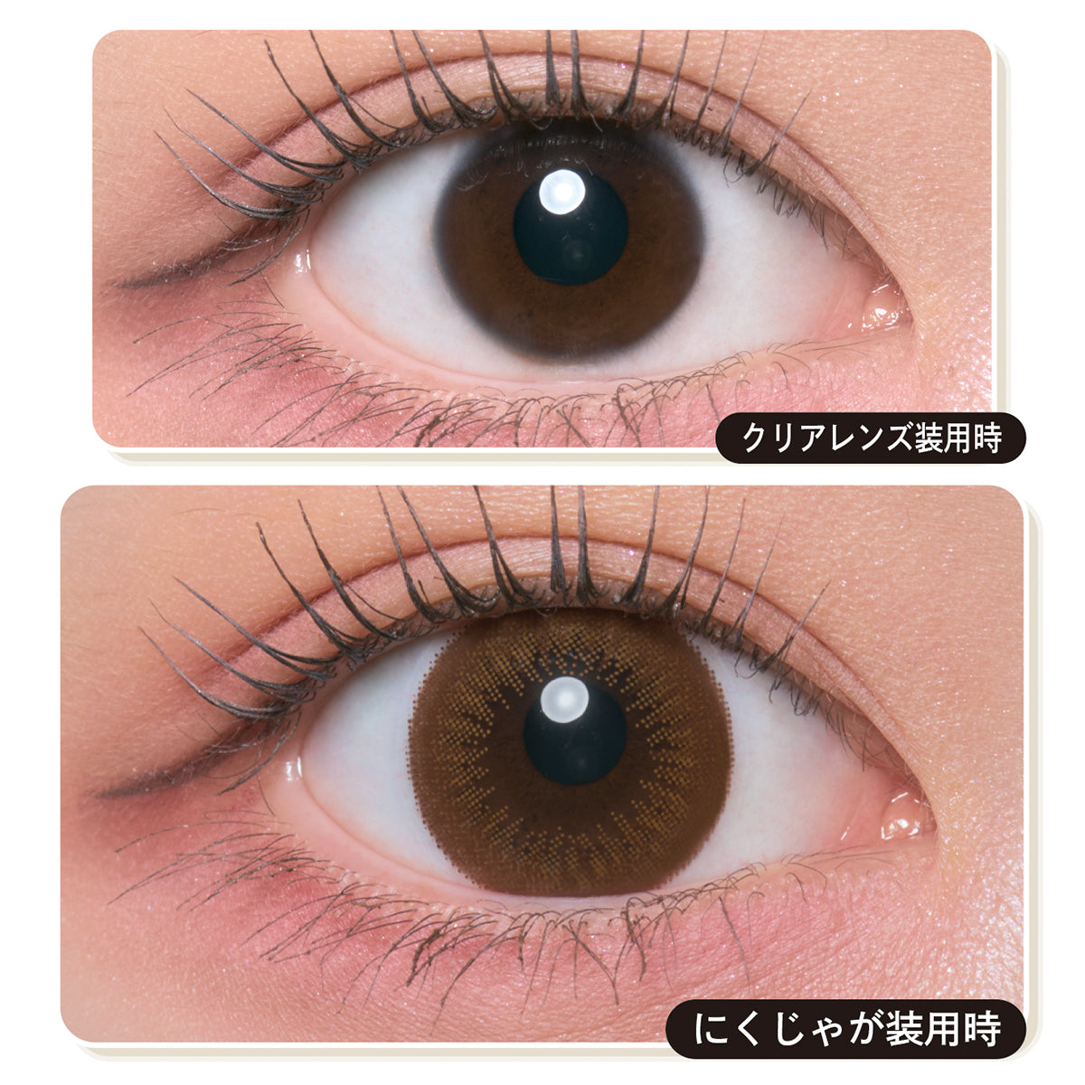 고기 감자 | |. 1일용