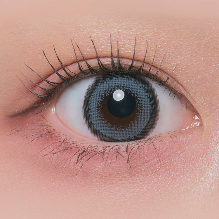 sgombro a becco d'arancia (Scomberomorus niphonius) 1 giorno