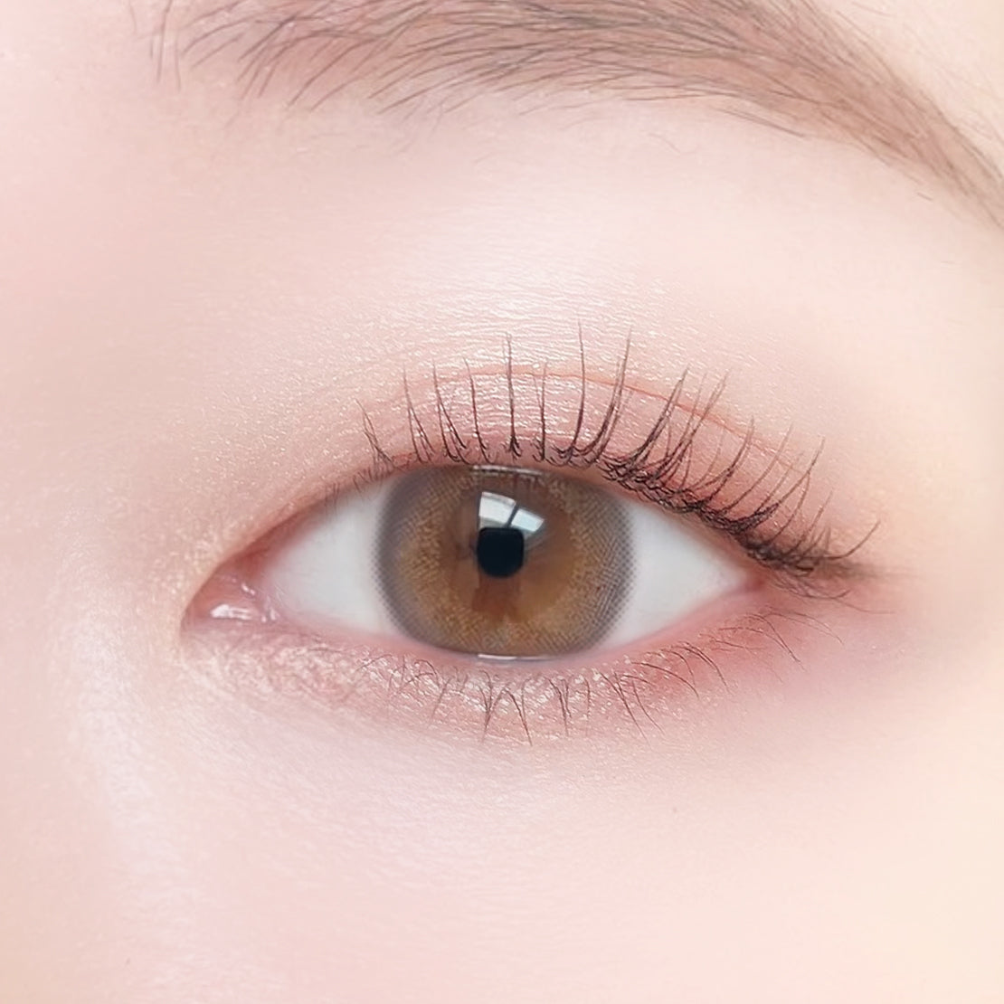 Bonbons à la poussière d'étoiles |. 1 jour