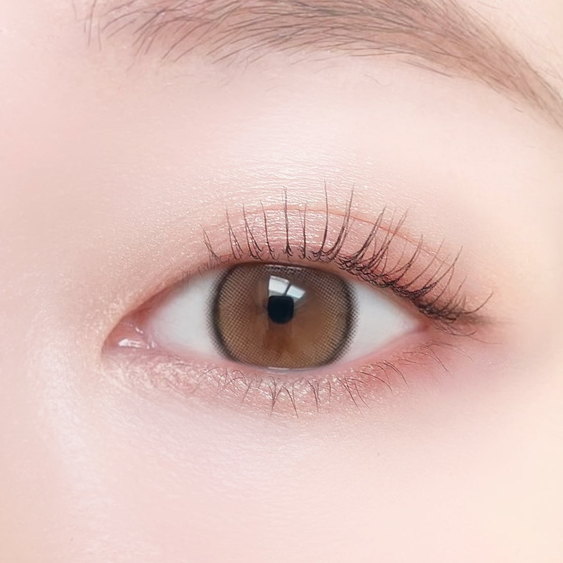 فطائر البدر المكتمل | 1 يوم