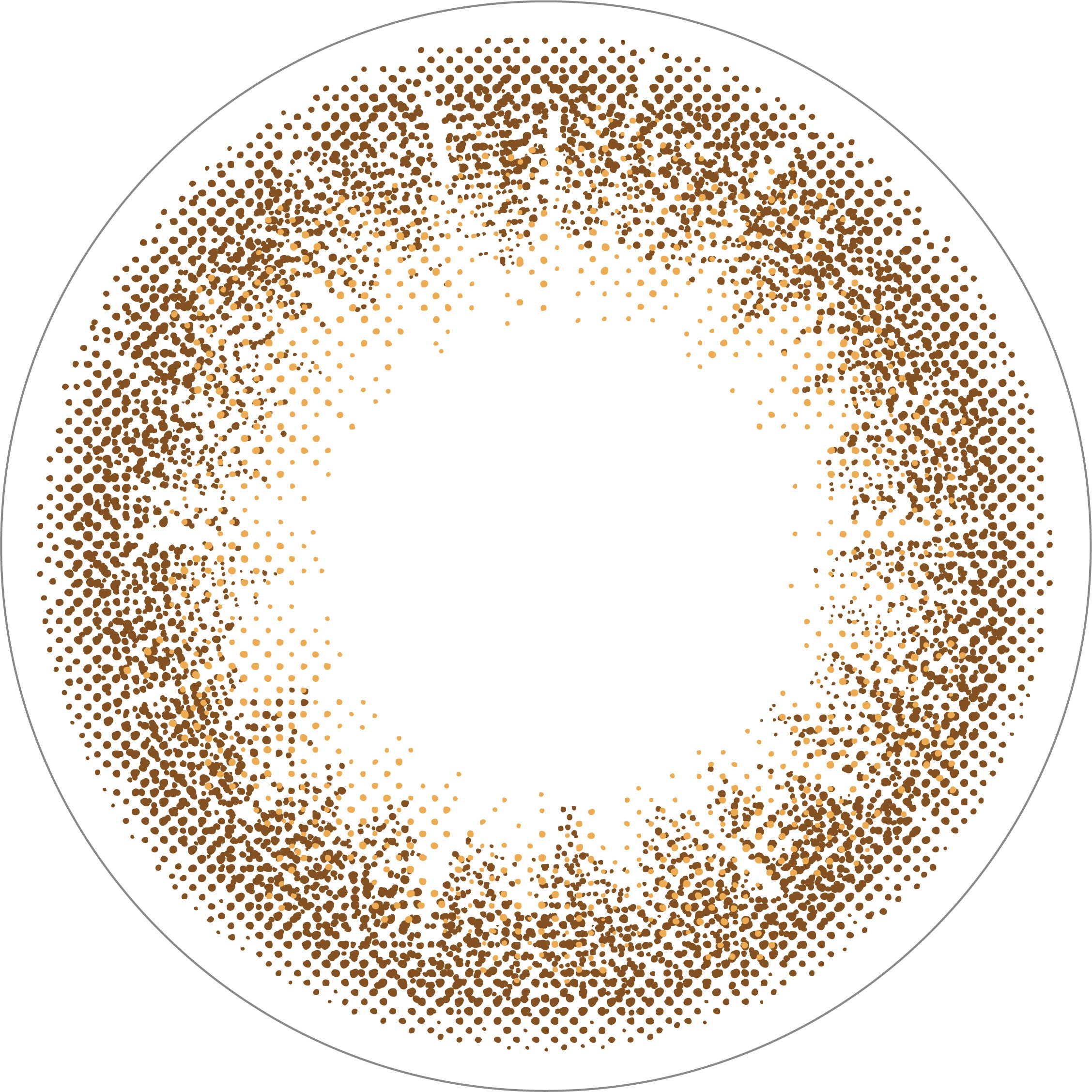 カラーコンタクトレンズ、ramurie シェリブラウン | 1dayのレンズ画像