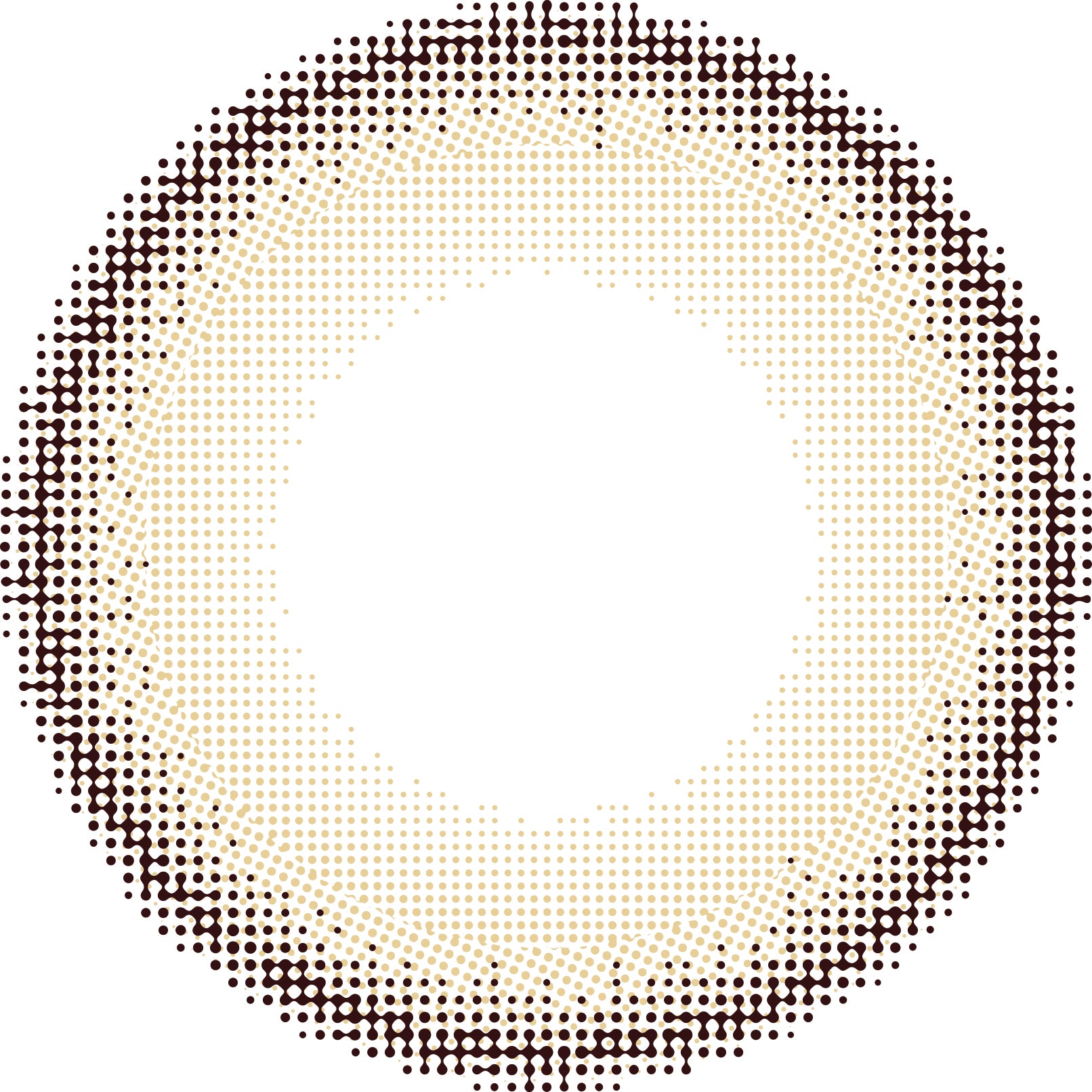 カラーコンタクトレンズ、Diya セレーナブラウン | 1dayのレンズ画像