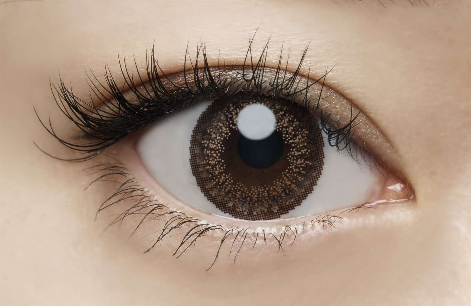 カラーコンタクトレンズ、loveil ブラウンミラージュ | 1dayを装用した状態の目のアップ画像