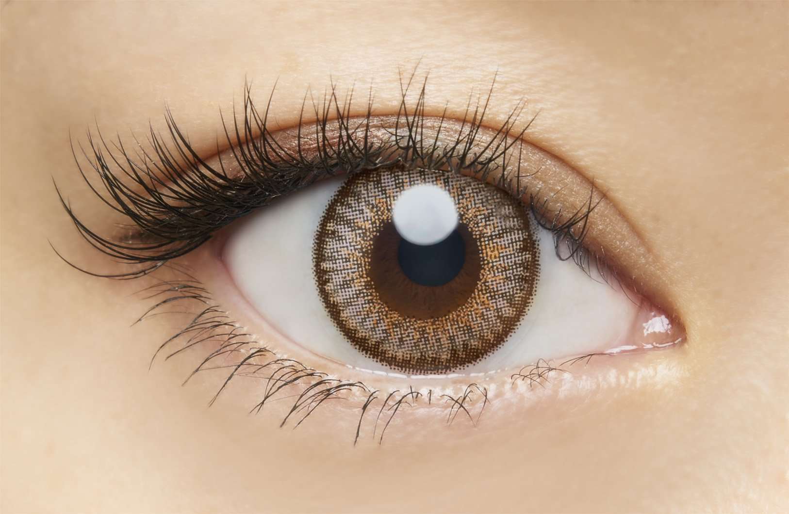 カラーコンタクトレンズ、loveil キャラメルグロー | 1dayを装用した状態の目のアップ画像