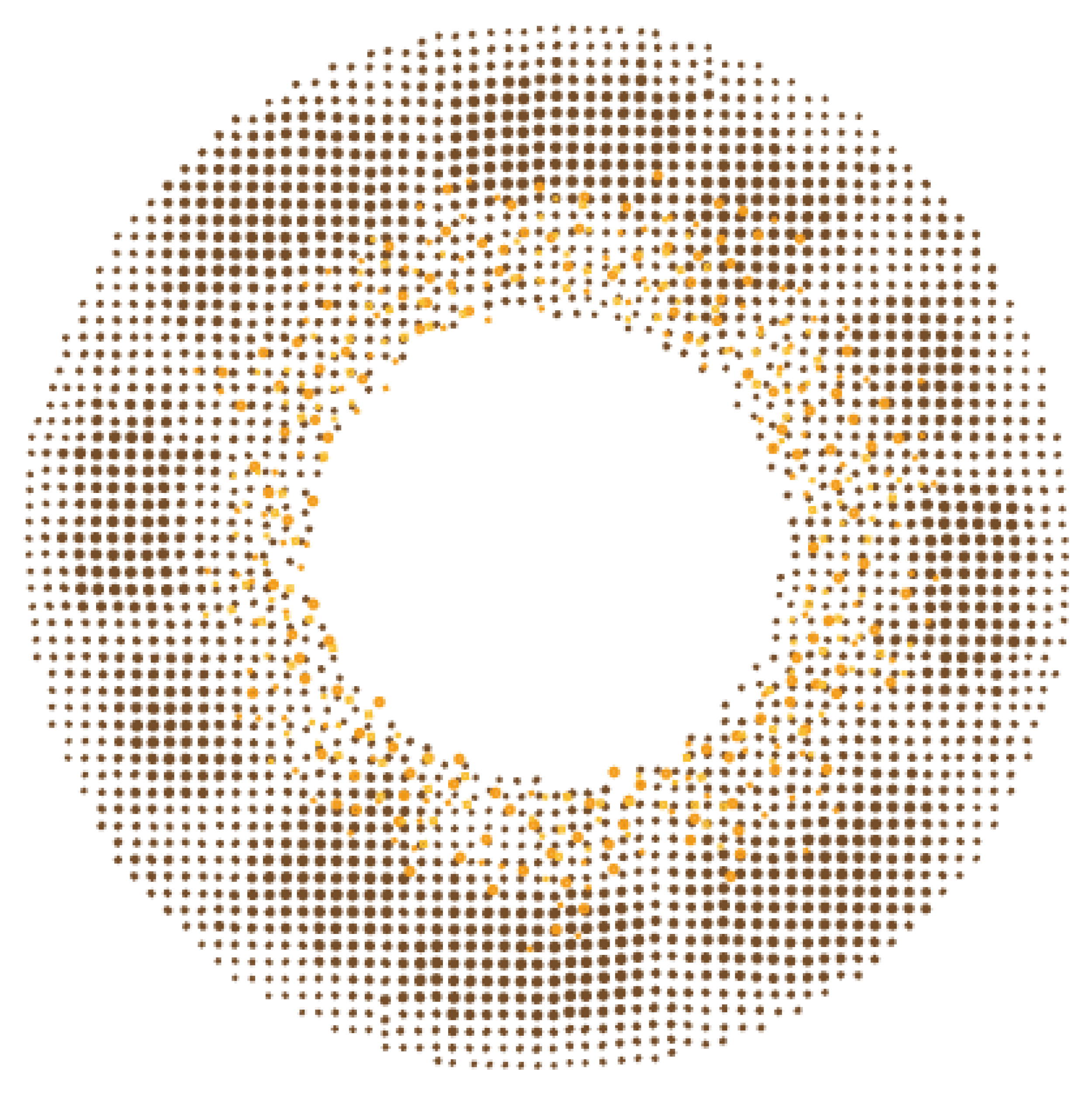 カラーコンタクトレンズ、Angelcolor ヴィンテージヘーゼル | 1dayのレンズ画像