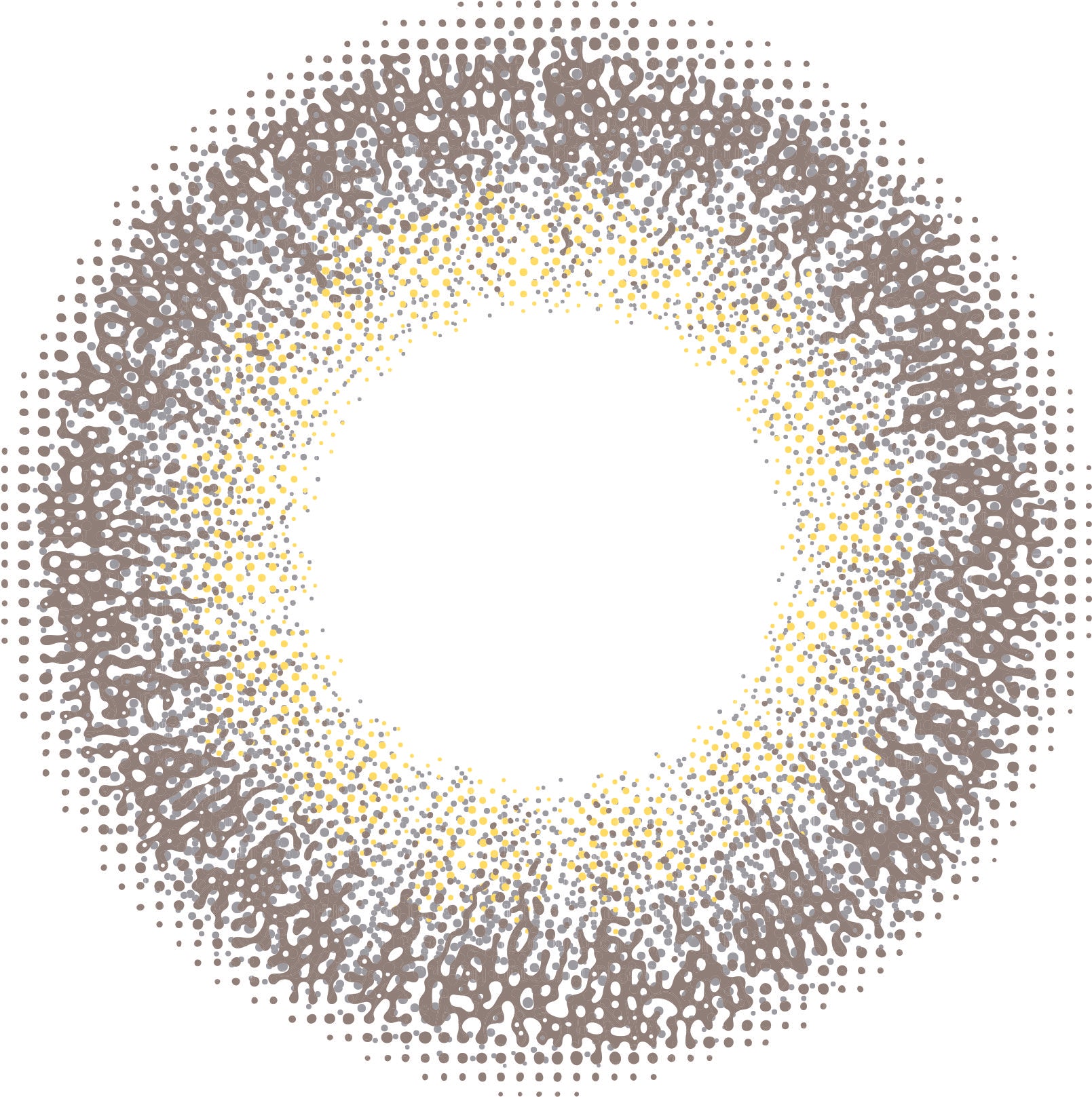 カラーコンタクトレンズ、Marble アイシーグレー | 1dayのレンズ画像