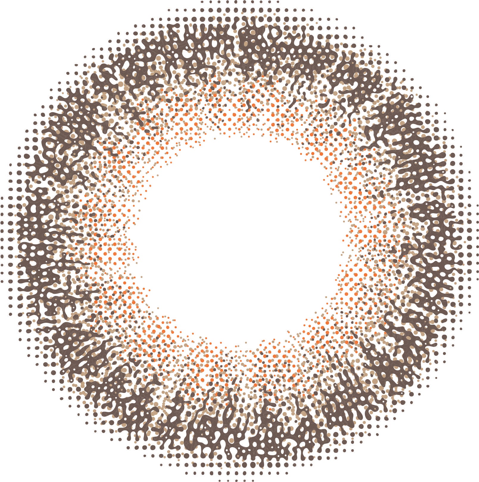 カラーコンタクトレンズ、Marble プレッツェル | 1dayのレンズ画像