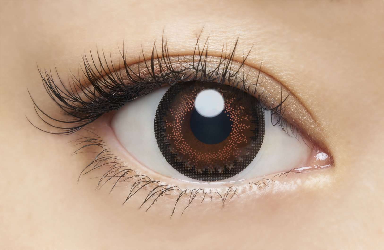 カラーコンタクトレンズ、loveil ミッドナイトアンバー | 1dayを装用した状態の目のアップ画像