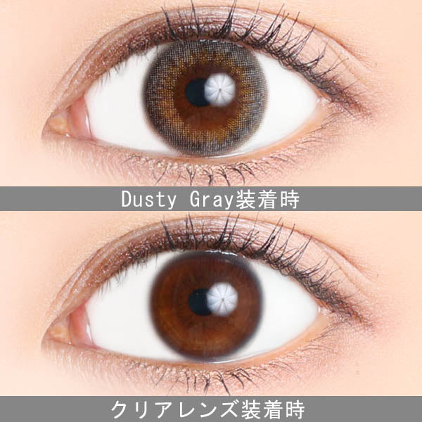 カラーコンタクトレンズ、Victoria ダスティグレー | 1dayの追加の参考画像4枚目