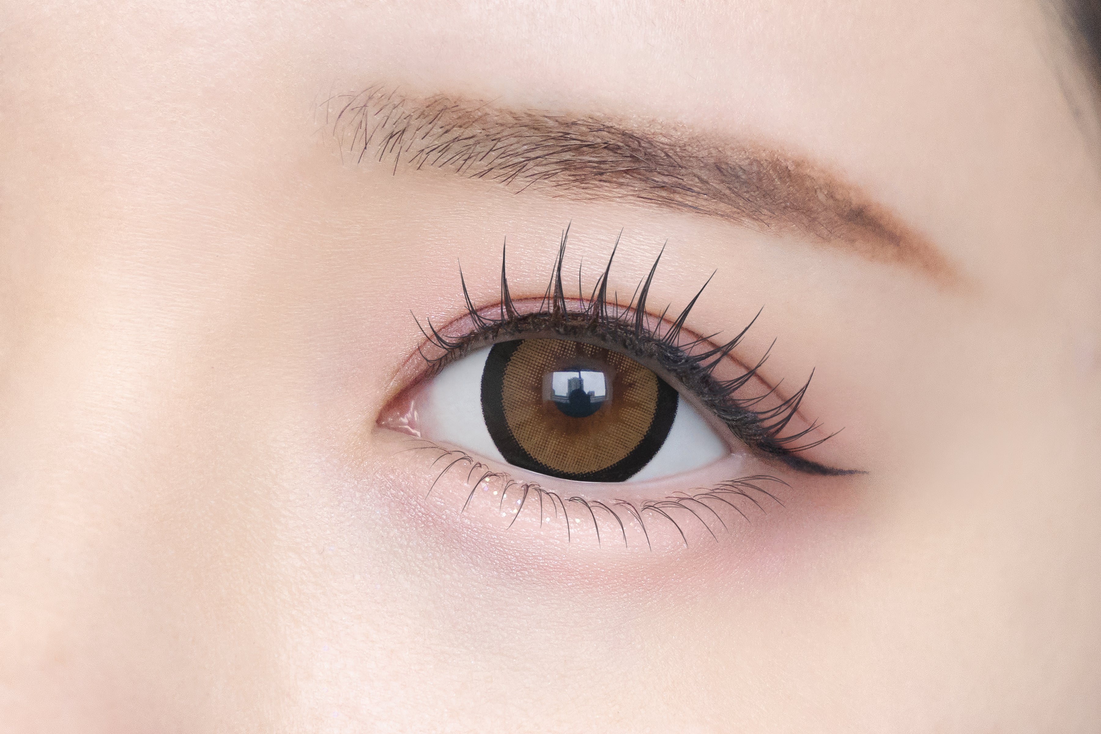 อุเมะคาชิแคเมล [Chapun] | 1day 