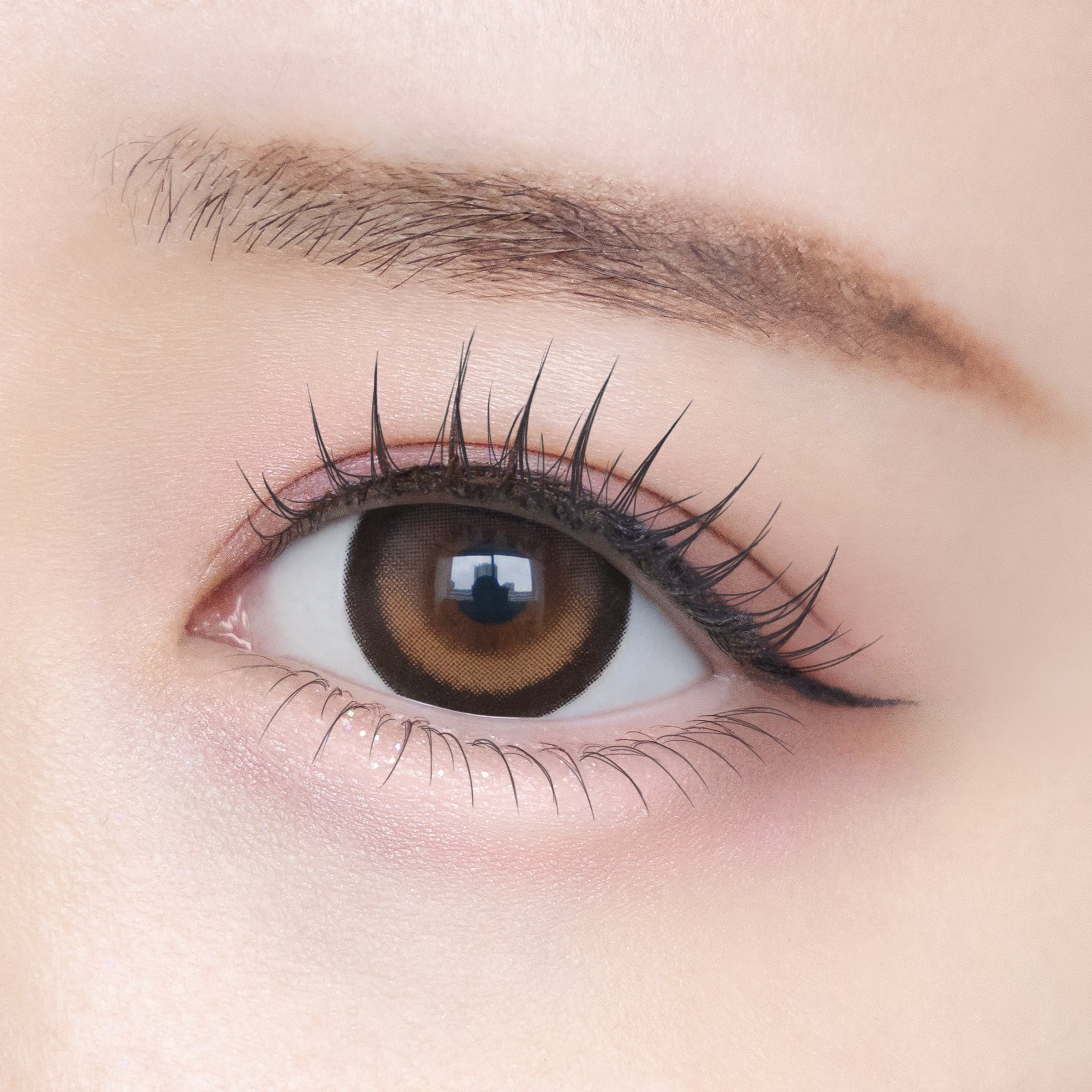 두근두근 브라운 [Chapun] | 1day 