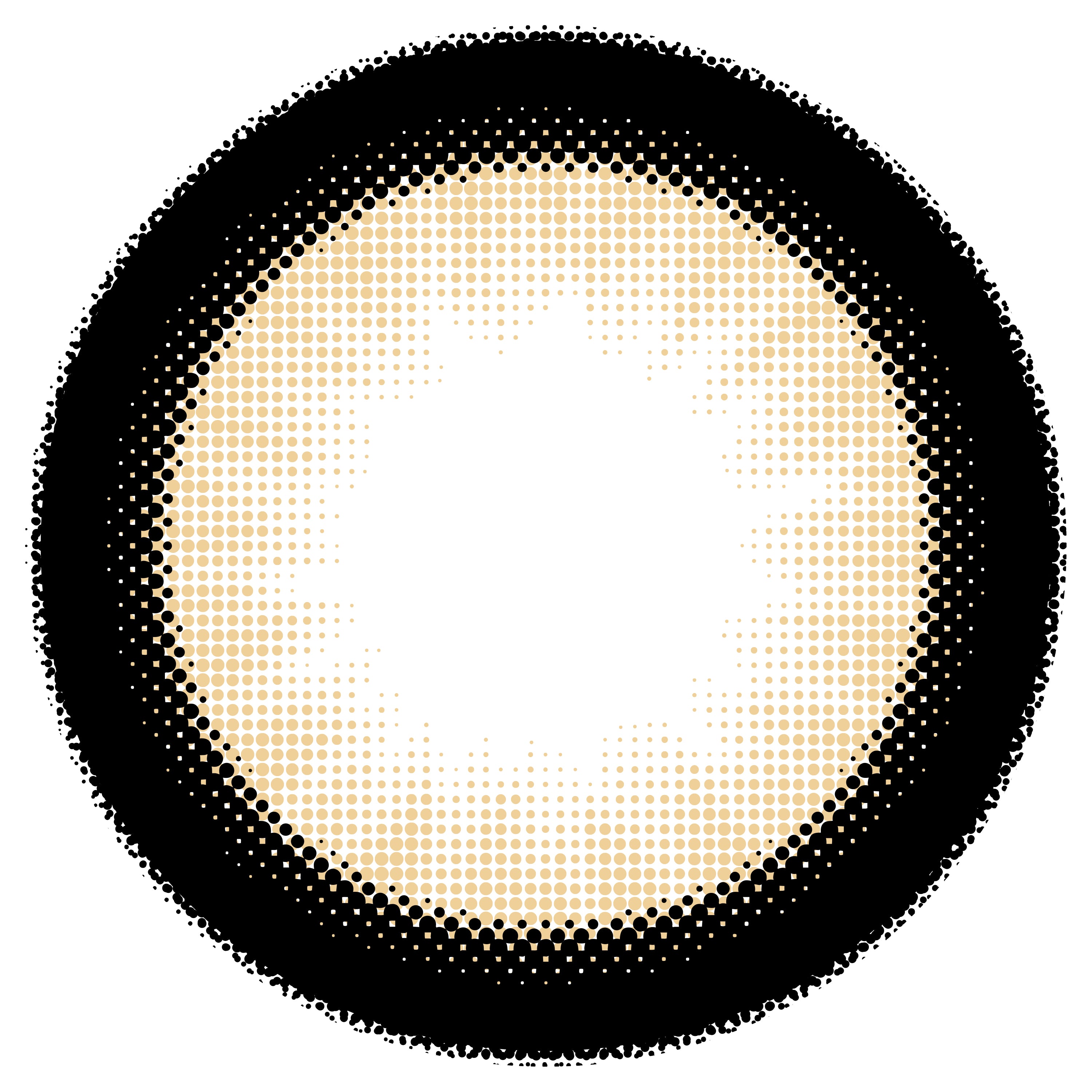 Chameau déguisé [Chapun] | 1day 