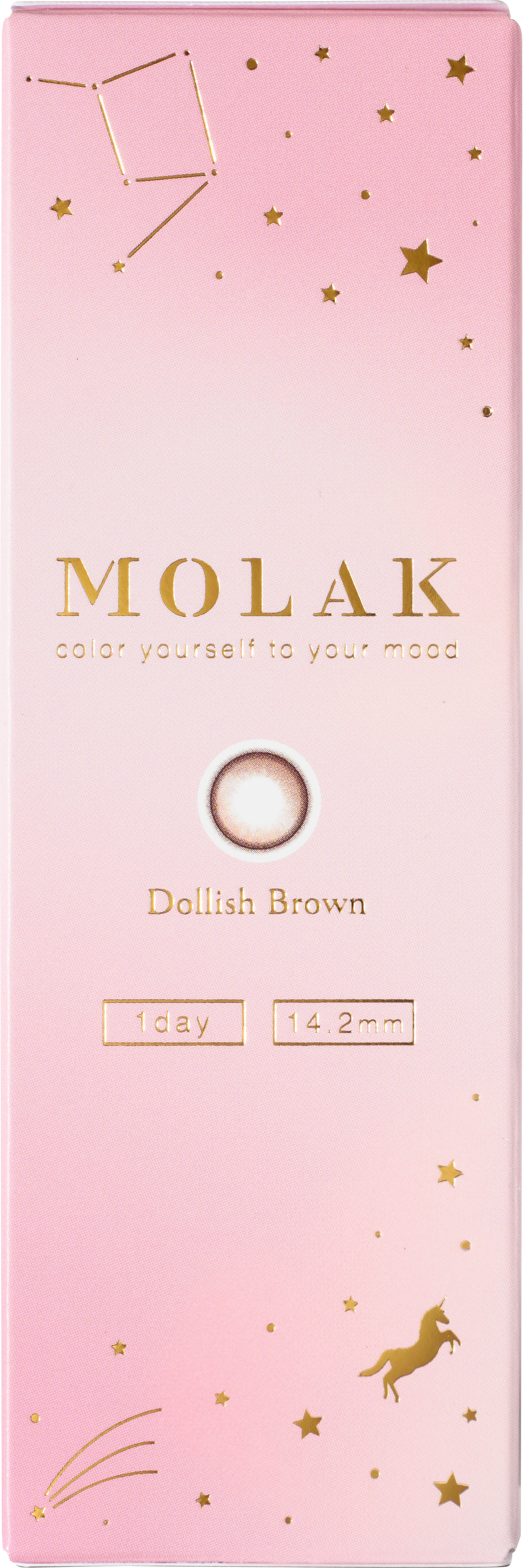 Dollish Brown | 1day