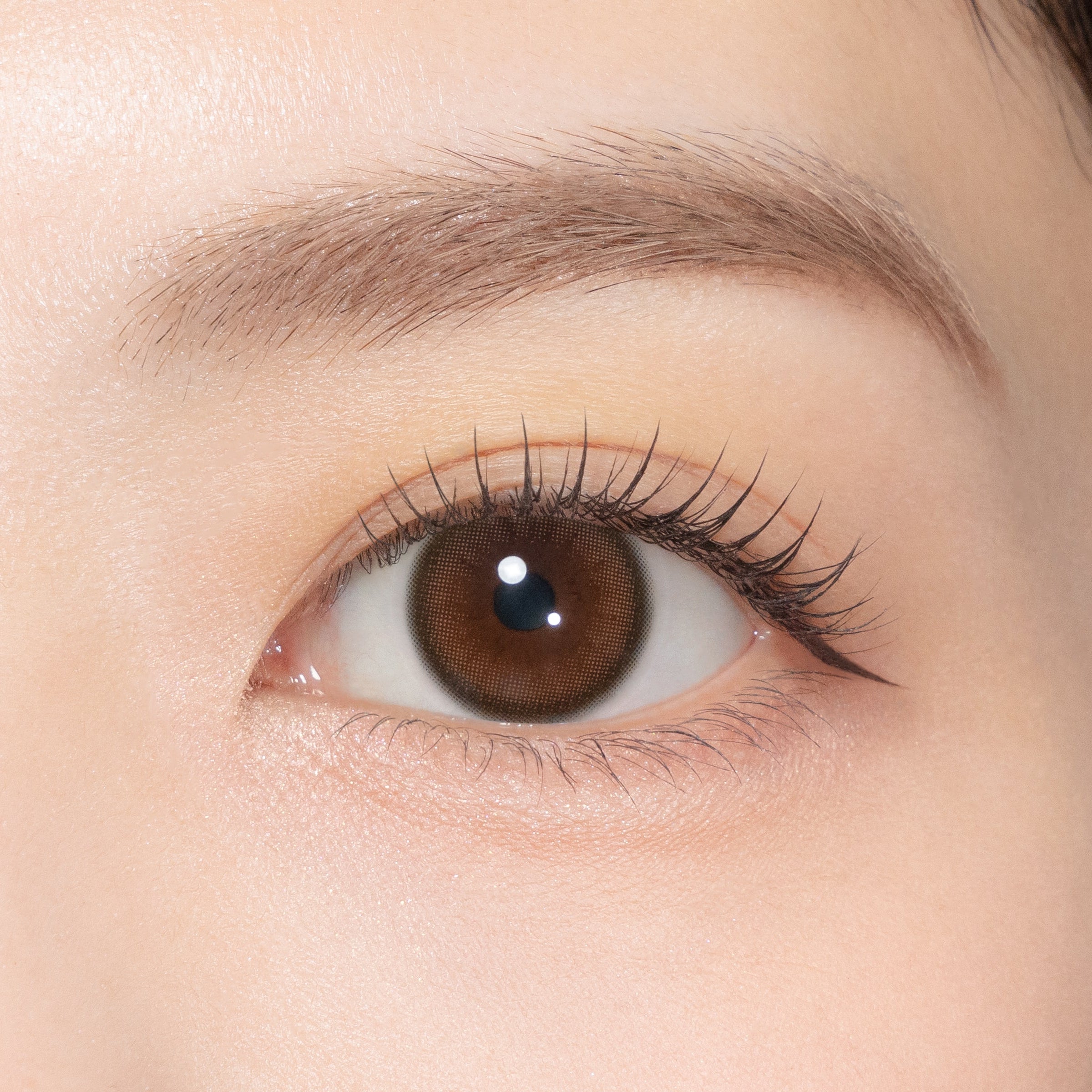 ナチュトパーズ [TOPARDS] | 1dayカラコン - DIA 14.2mm | Push!Color