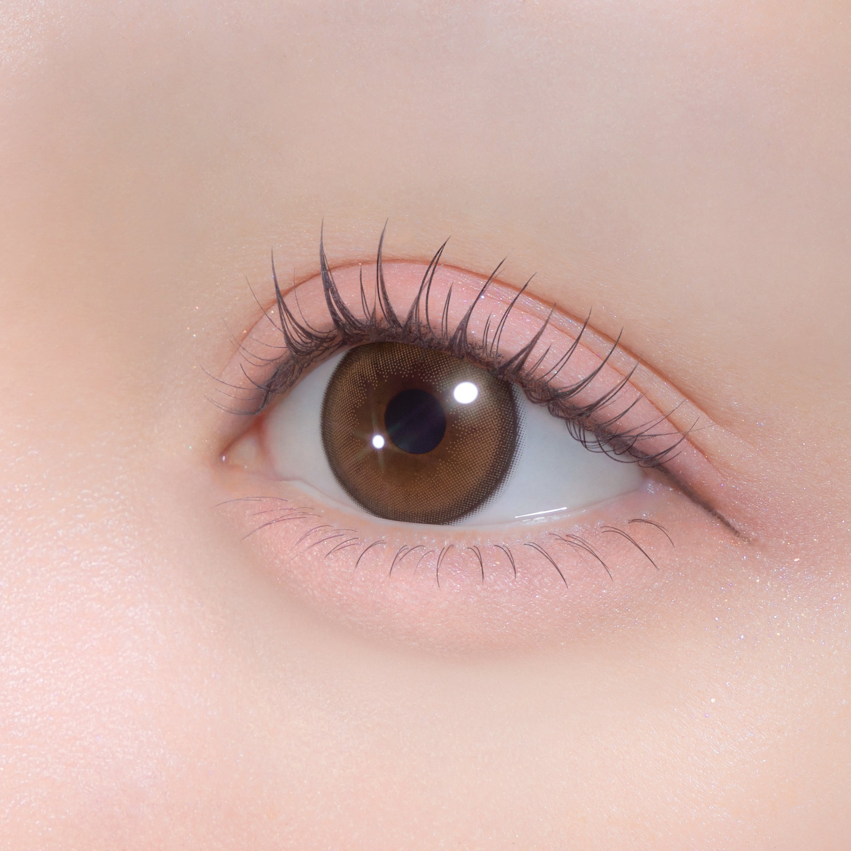 きらゆめブラウン [Chapun] | 1day 