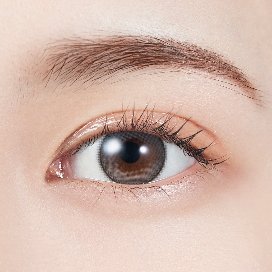 dawlishGrigio | 1 giorno