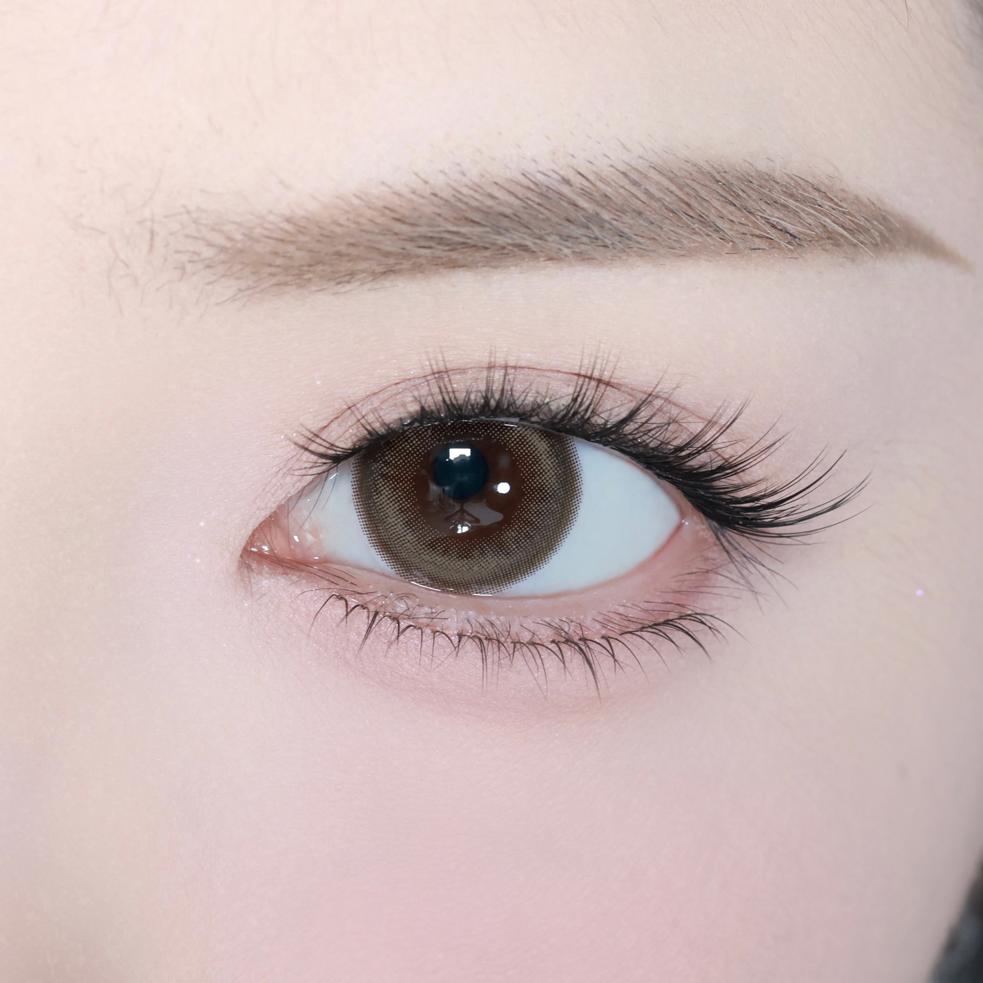 Dayglowbrown [eyestar] | 1day 