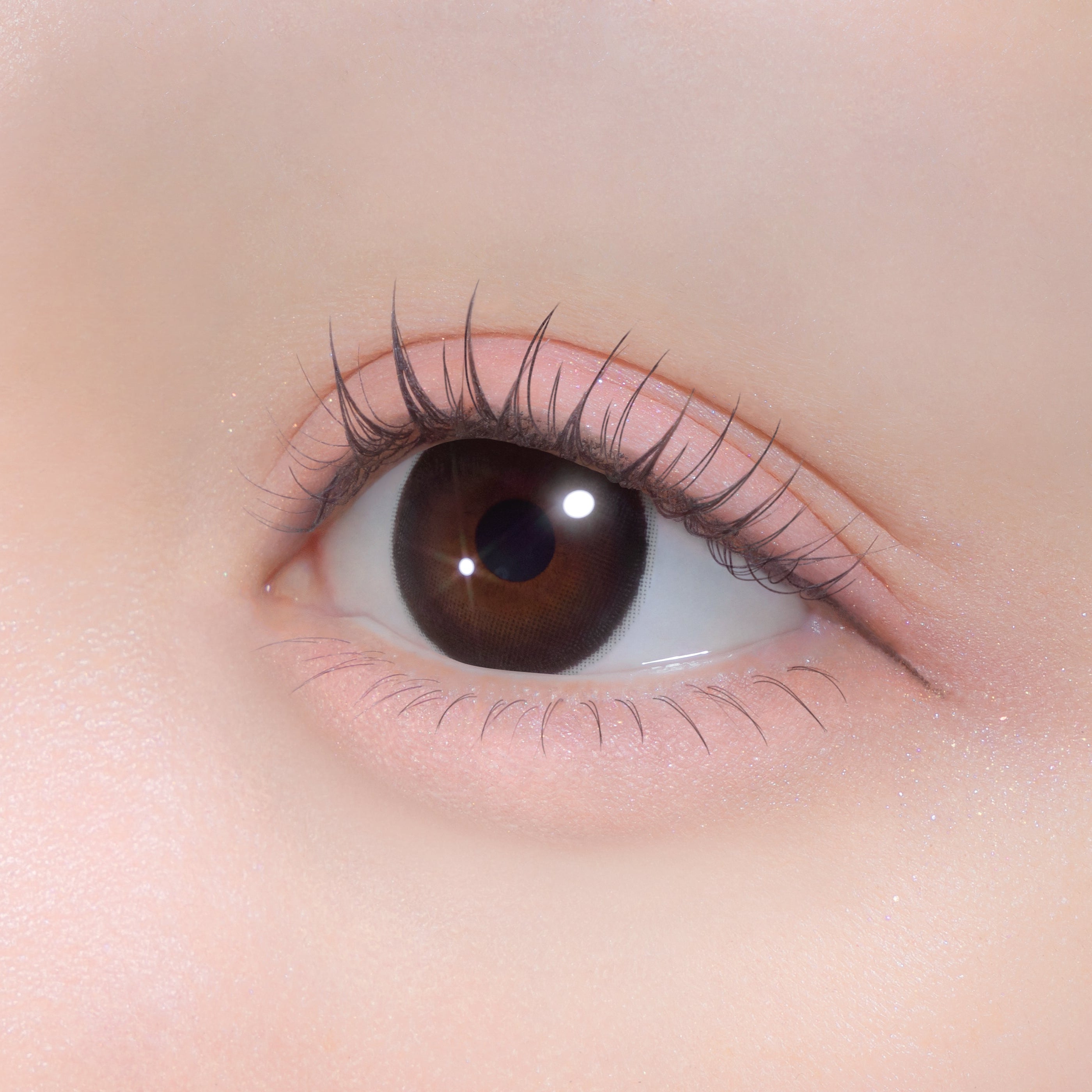 いとおしブラック [Chapun] | 1day