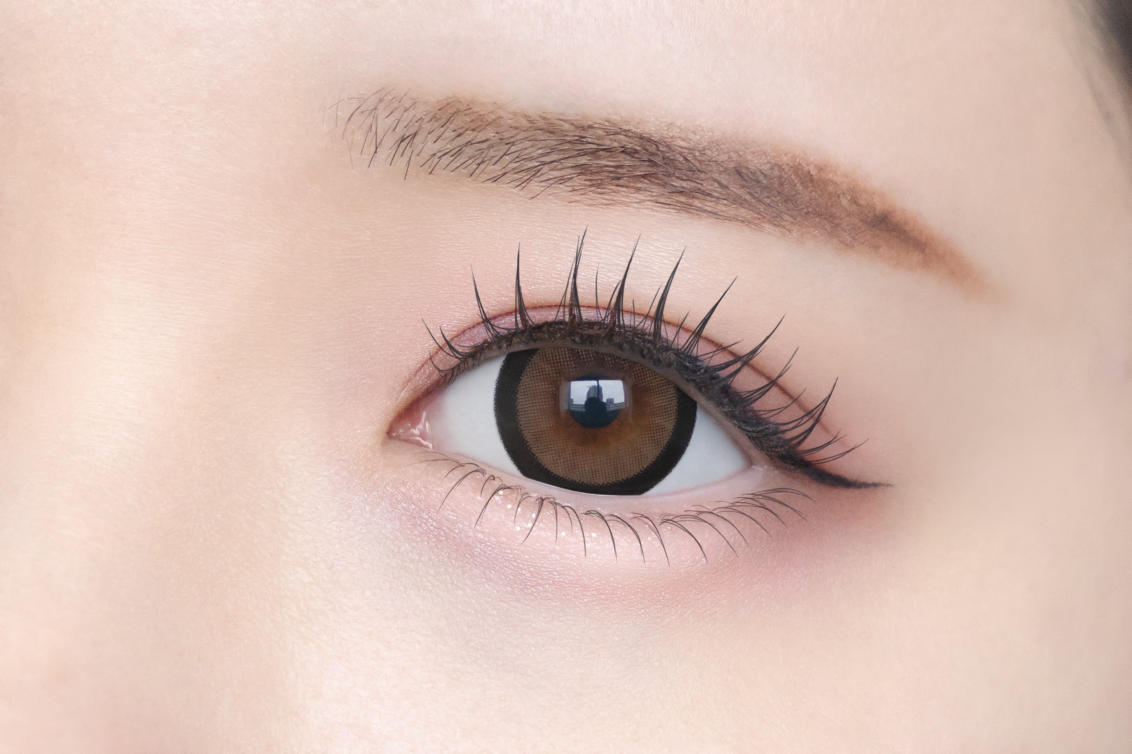 จ้องมองบราวนี่ [Chapun] | 1day 