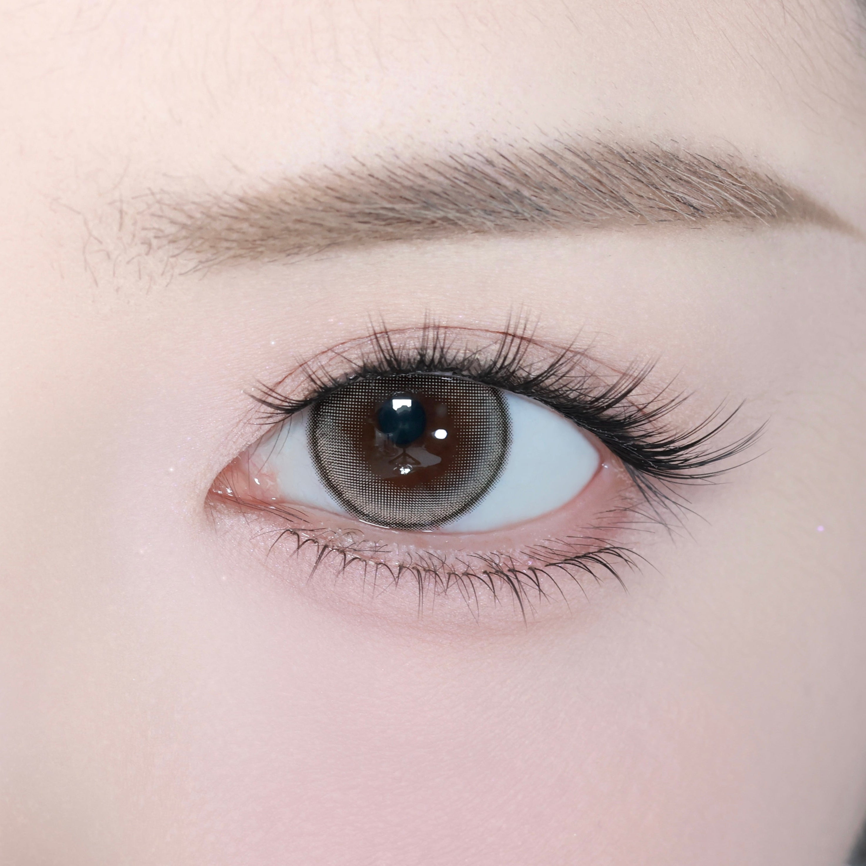 Starflare Beige [eyestar] | 1day 