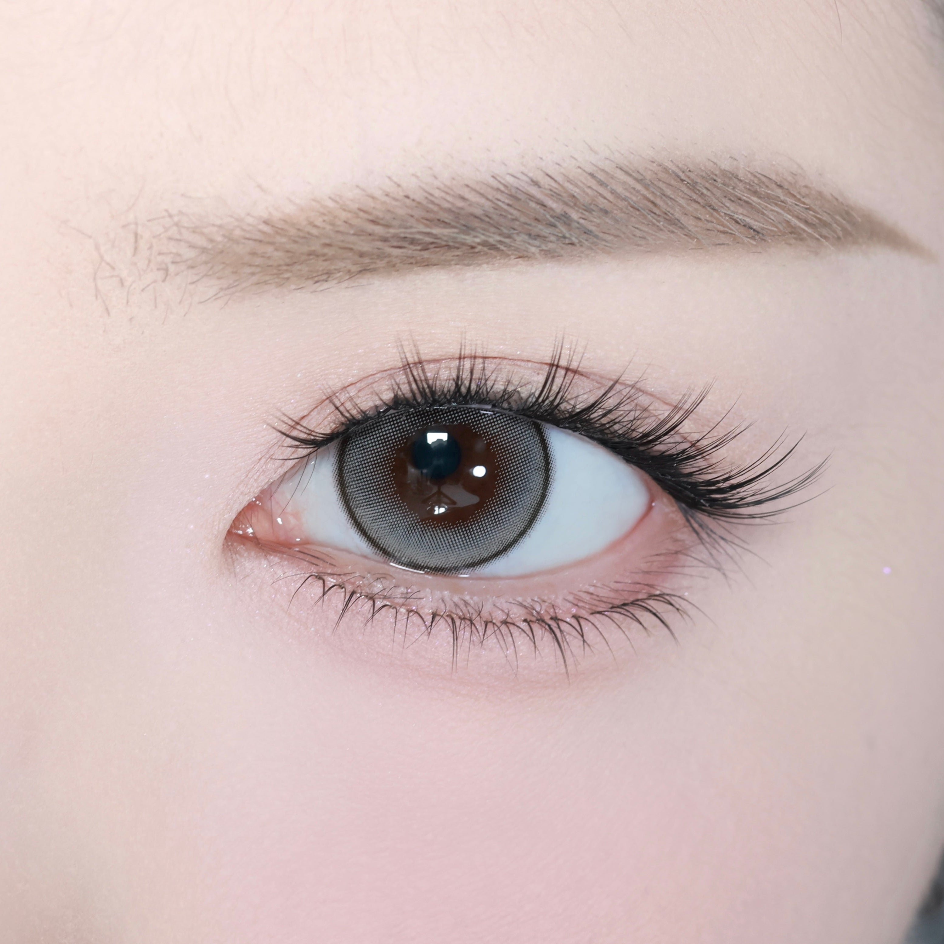 Starflare Gray [eyestar] | 1day 