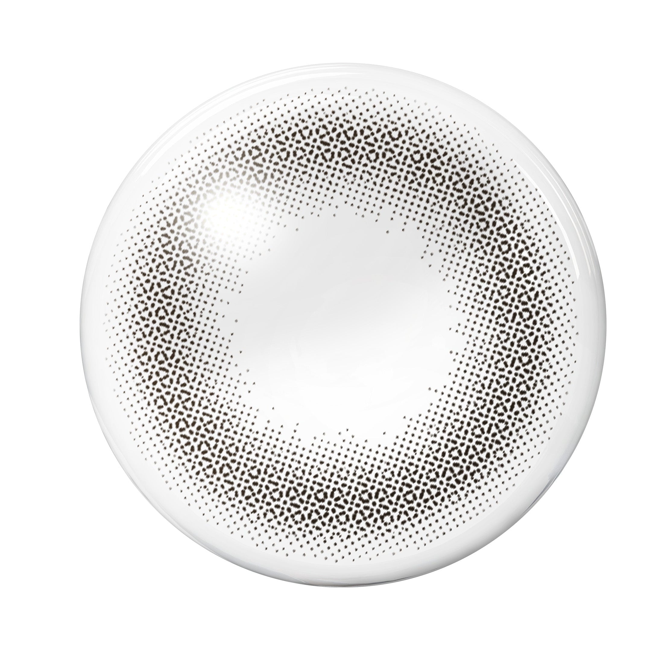 纳丘贝比埃斯普雷索 [TOPARDS] | 1day 