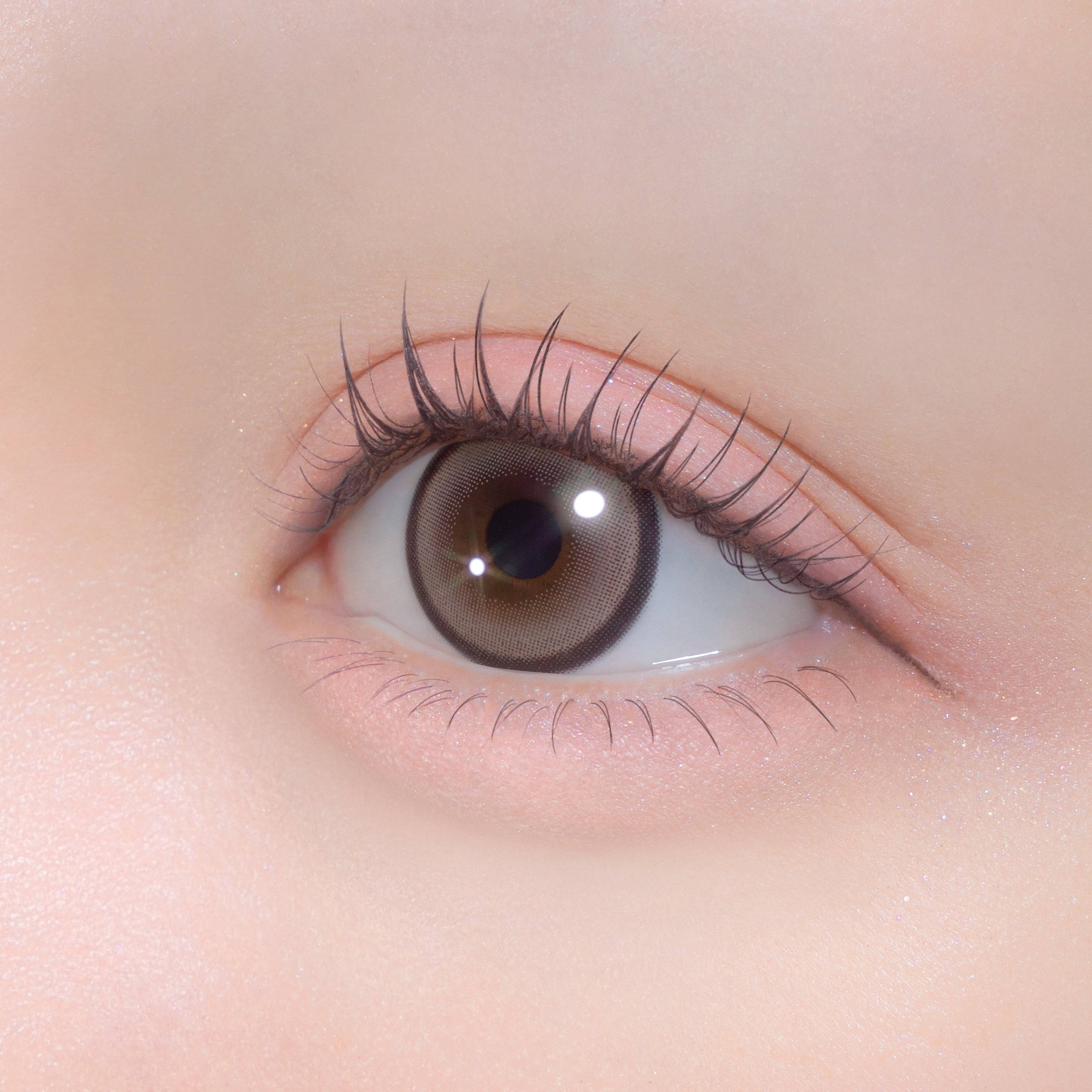 trượt dốc [Chapun] | 1day 