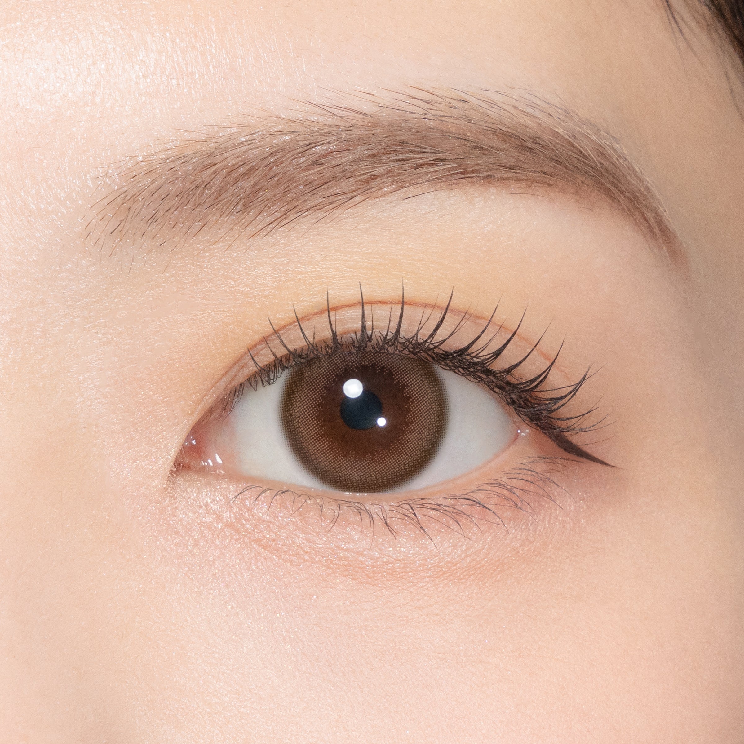 纳楚克里姆罗斯 [TOPARDS] | 1day 