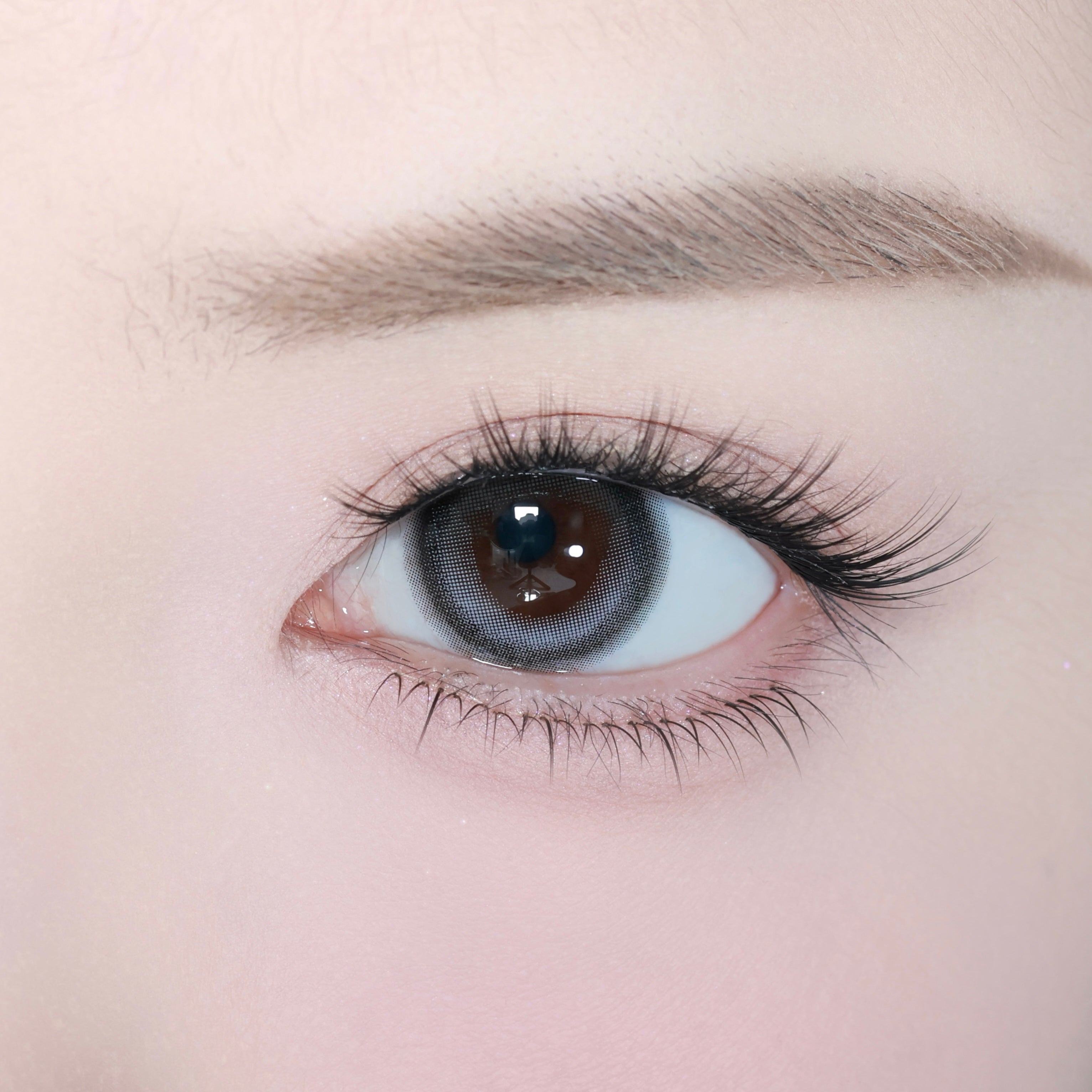 ไอโคนิคเกรย์ [eyestar] | 1day 