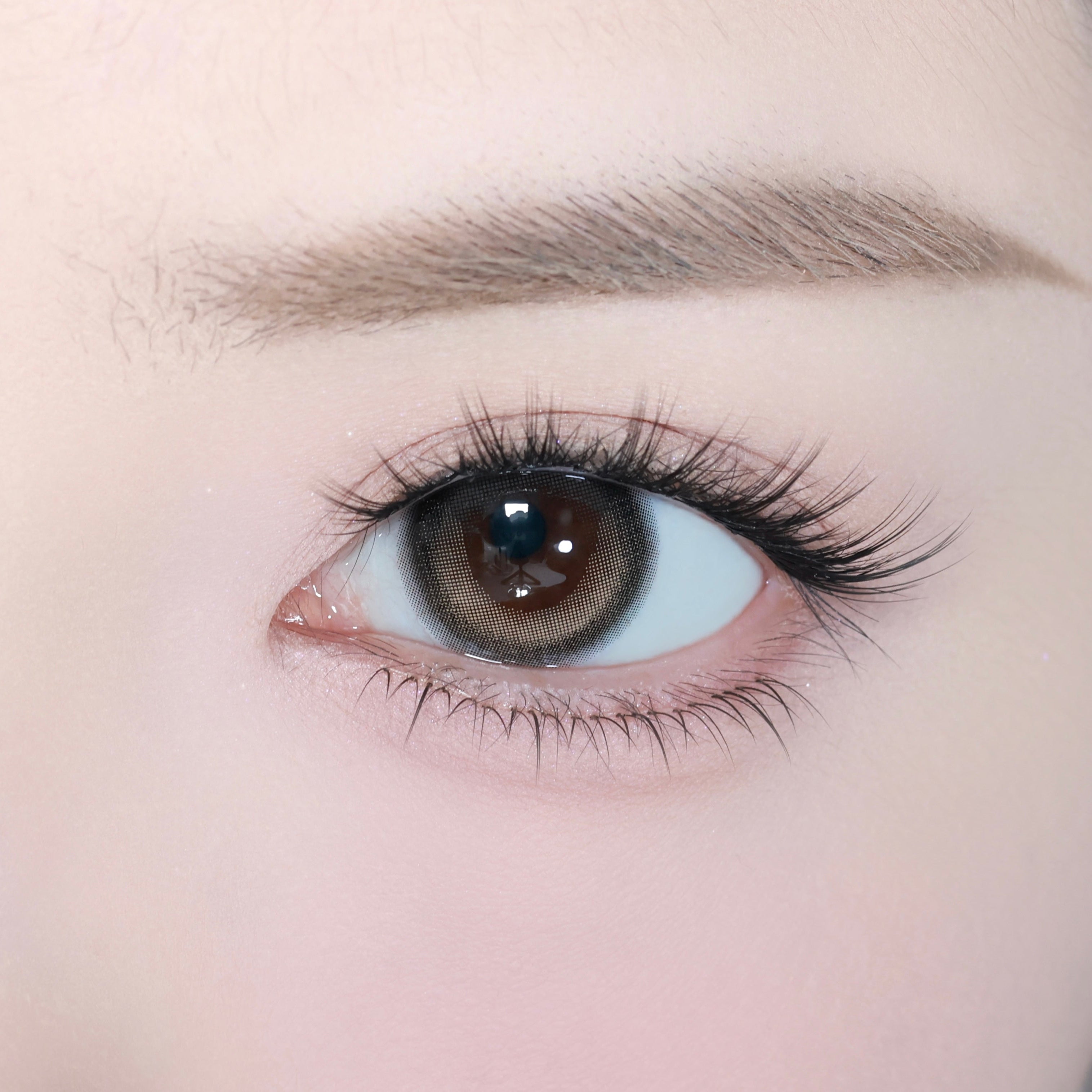 艾可尼克布朗 [eyestar] | 1day 