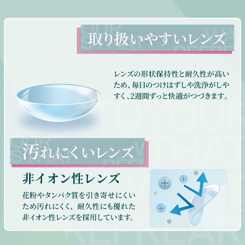 Clear Lens 2week Refrear UV [Refrear] | 2week 