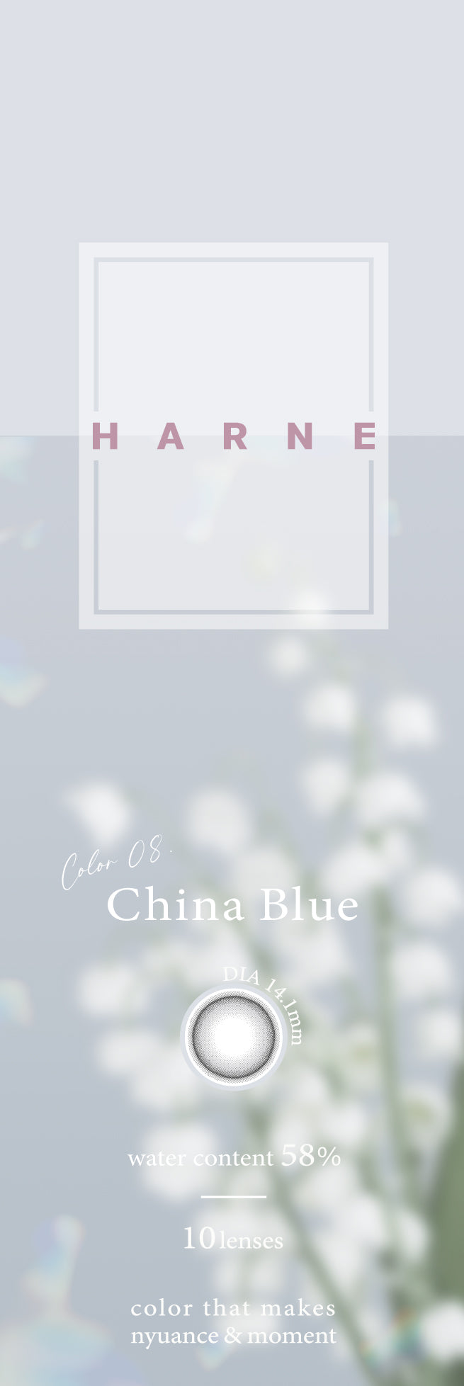 China Blue | 1day