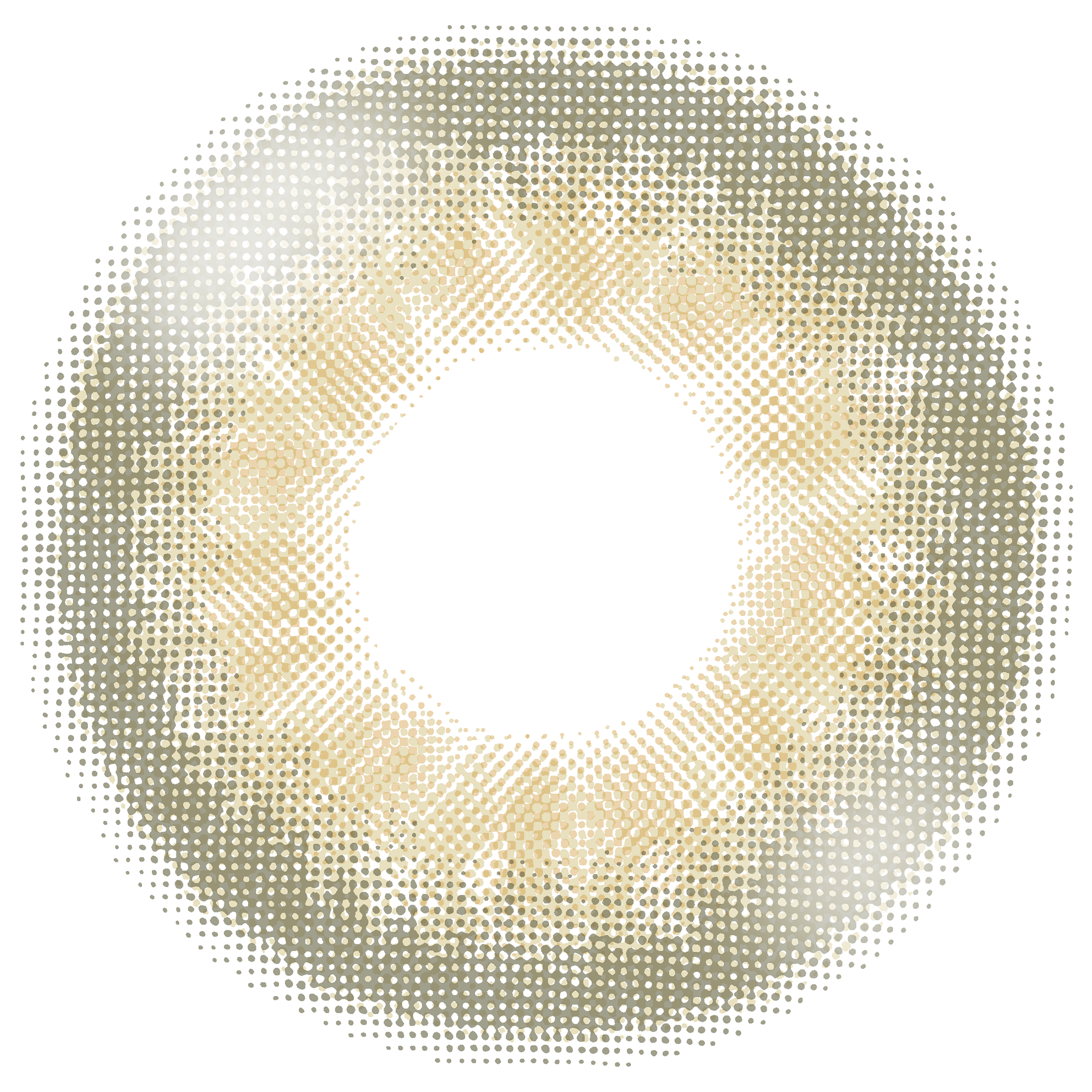 آيريس بيج [BARRIEYES] | 1day 