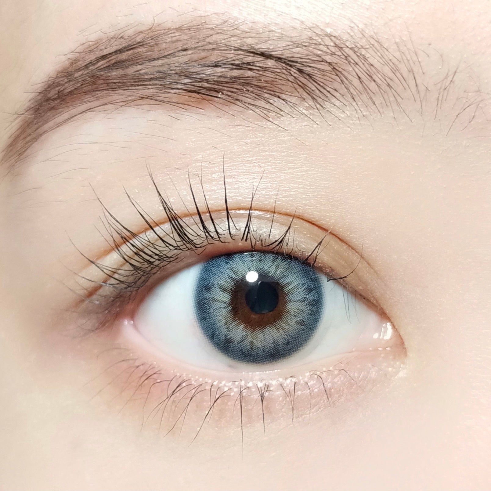 آيريسمينت [BARRIEYES] | 1day 