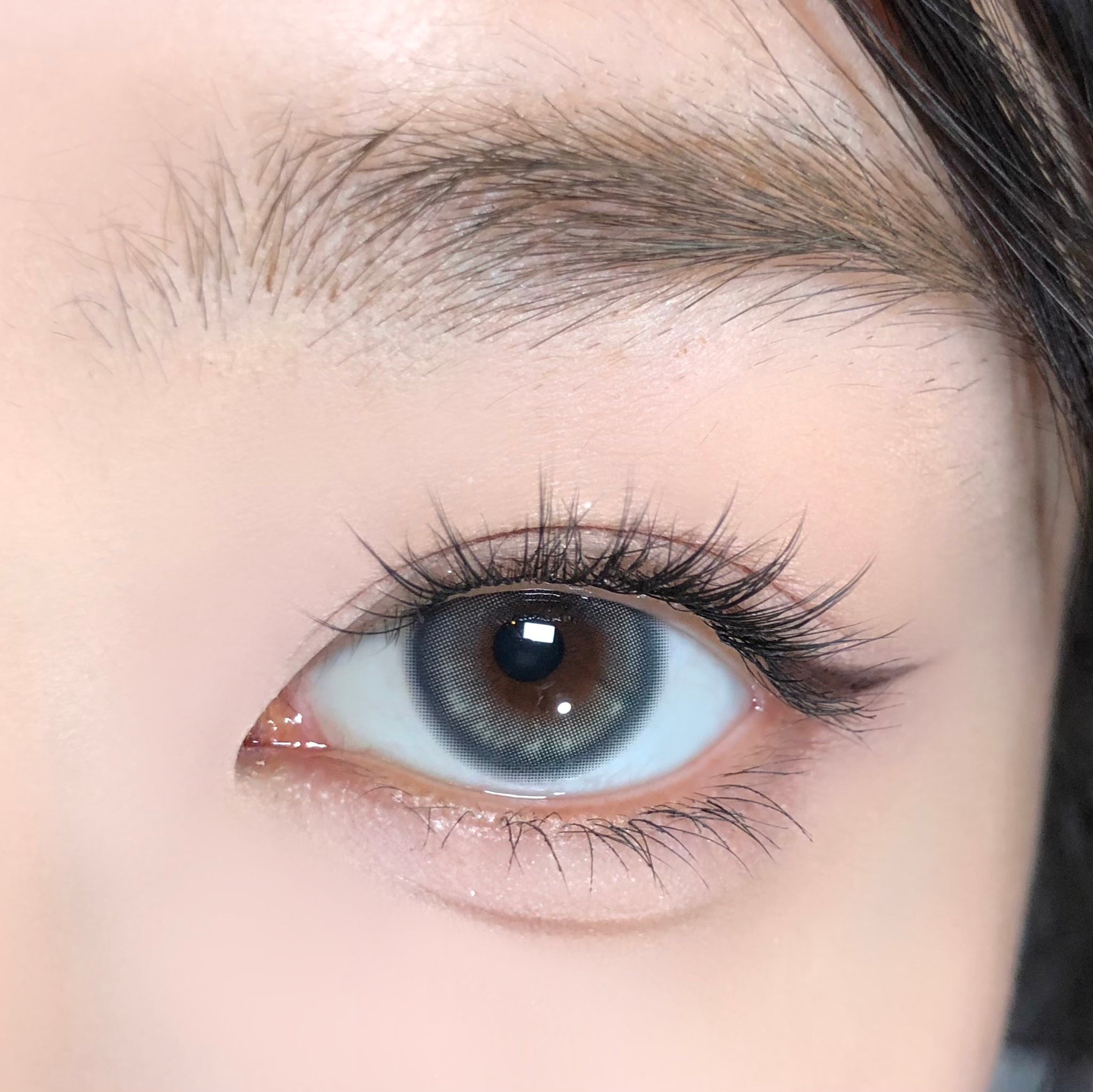 Starry Ocean [BARRIEYES] | 1day 