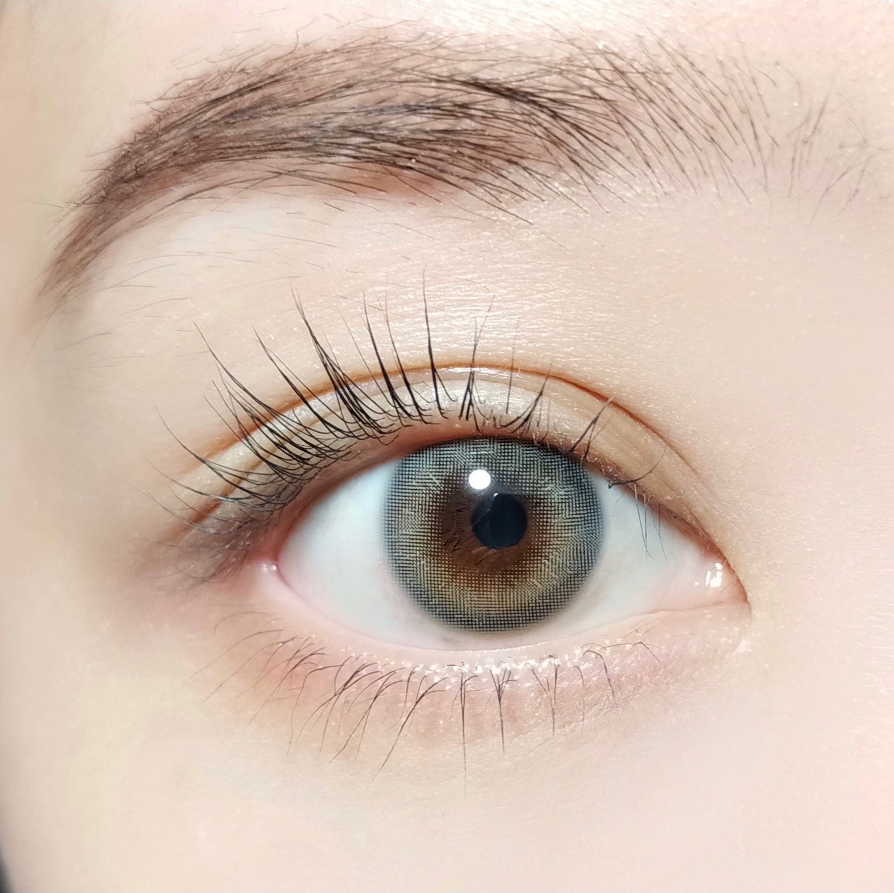 Rushy Grey [BARRIEYES] | 1day 