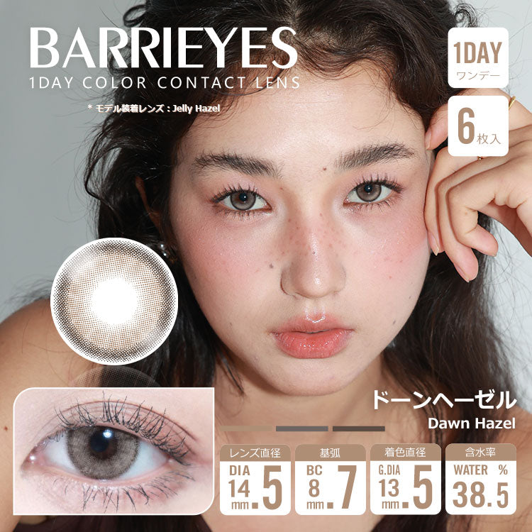 多恩黑兹尔 [BARRIEYES] | 1day 